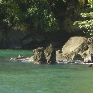 Meet your Posher, Joy